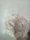 Zhu Guang 01 Shallow Snow Bud Flower Core Gypsum 01 Application Scenario